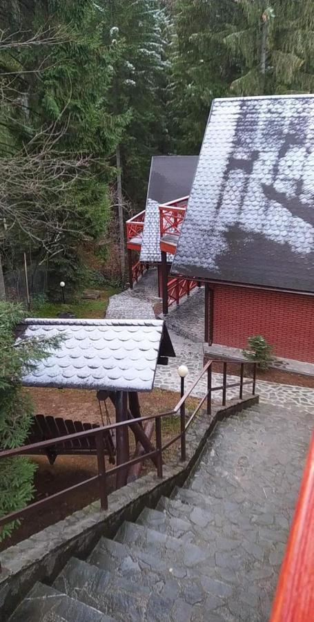 Casa Familiei Lodge Brasov
